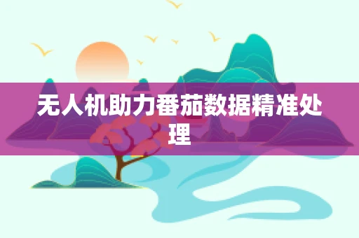 无人机助力番茄数据精准处理