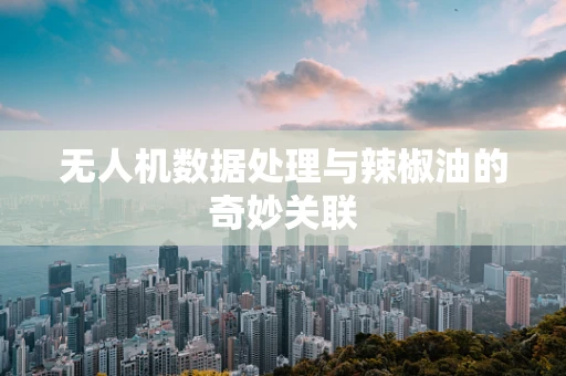无人机数据处理与辣椒油的奇妙关联