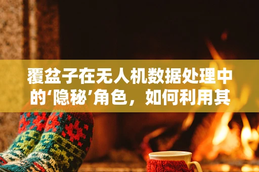 覆盆子在无人机数据处理中的‘隐秘’角色，如何利用其低功耗特性优化飞行数据收集？