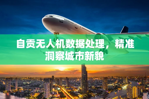 自贡无人机数据处理，精准洞察城市新貌