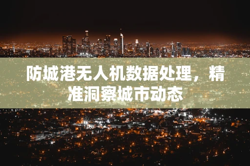 防城港无人机数据处理，精准洞察城市动态