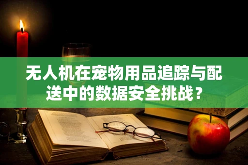 无人机在宠物用品追踪与配送中的数据安全挑战？