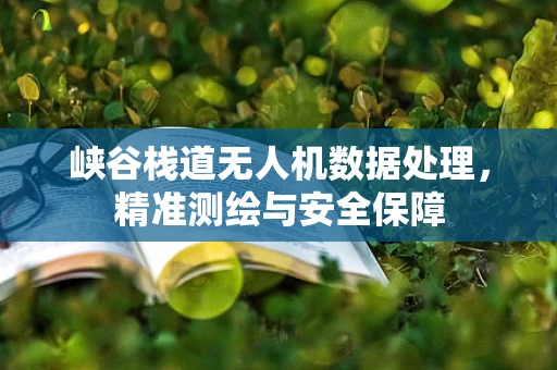峡谷栈道无人机数据处理，精准测绘与安全保障