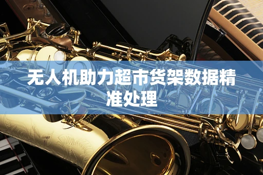 无人机助力超市货架数据精准处理