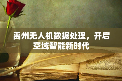 禹州无人机数据处理，开启空域智能新时代