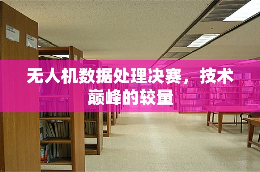 无人机数据处理决赛，技术巅峰的较量