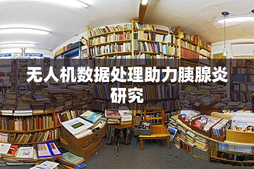 无人机数据处理助力胰腺炎研究