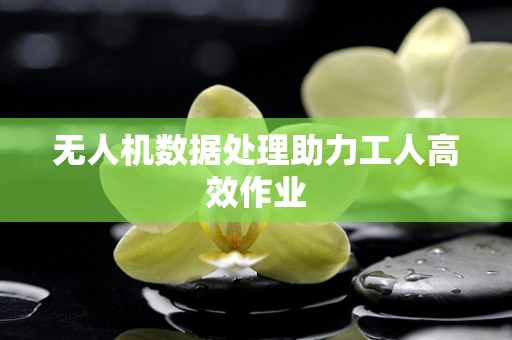 无人机数据处理助力工人高效作业