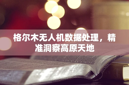 格尔木无人机数据处理，精准洞察高原天地