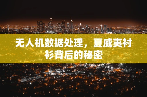 无人机数据处理，夏威夷衬衫背后的秘密