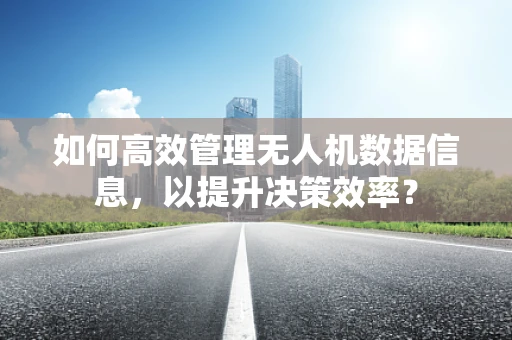 如何高效管理无人机数据信息，以提升决策效率？