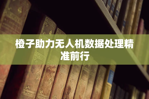 橙子助力无人机数据处理精准前行
