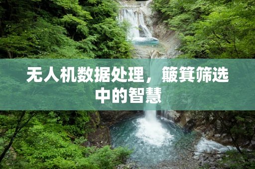 无人机数据处理，簸箕筛选中的智慧