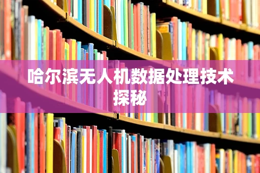 哈尔滨无人机数据处理技术探秘