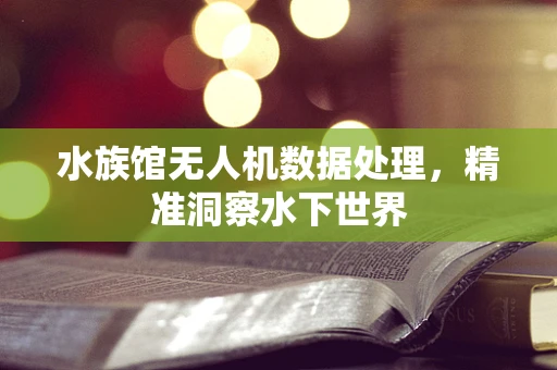 水族馆无人机数据处理，精准洞察水下世界