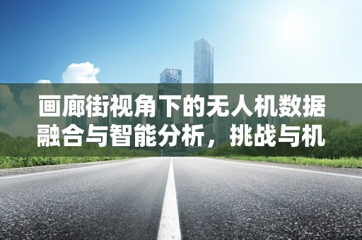 画廊街视角下的无人机数据融合与智能分析，挑战与机遇