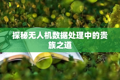探秘无人机数据处理中的贵族之道