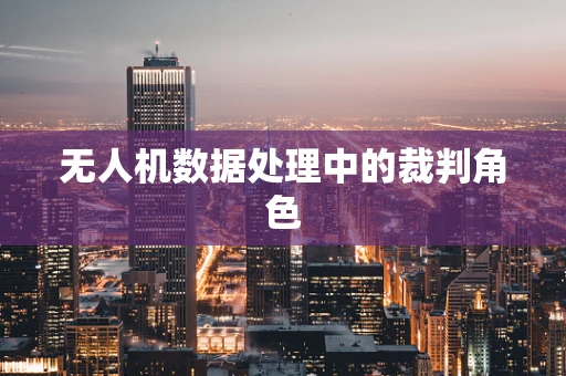 无人机数据处理中的裁判角色