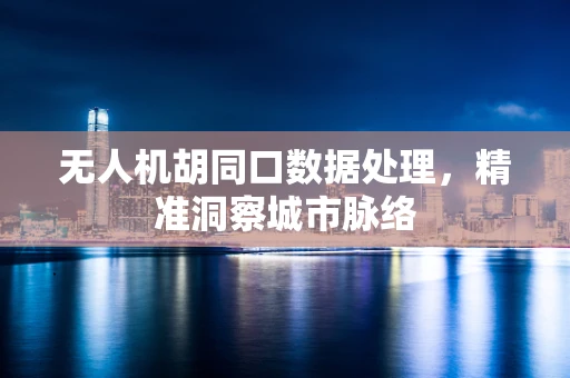 无人机胡同口数据处理，精准洞察城市脉络