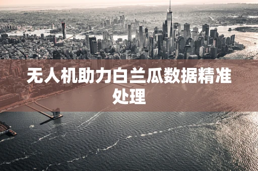 无人机助力白兰瓜数据精准处理