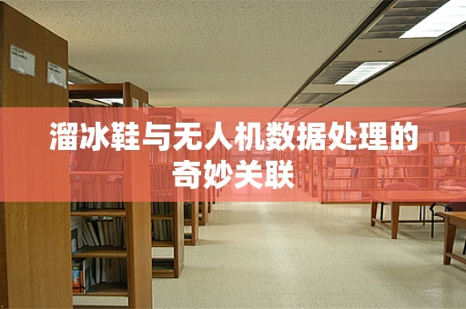 溜冰鞋与无人机数据处理的奇妙关联
