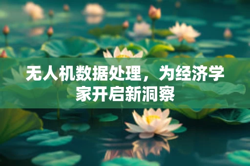 无人机数据处理，为经济学家开启新洞察
