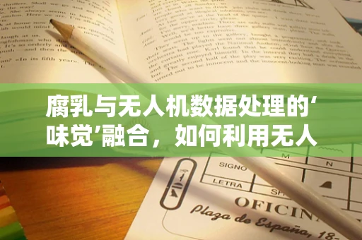 腐乳与无人机数据处理的‘味觉’融合，如何利用无人机进行腐乳生产环境的智能监测？