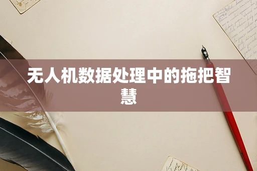 无人机数据处理中的拖把智慧