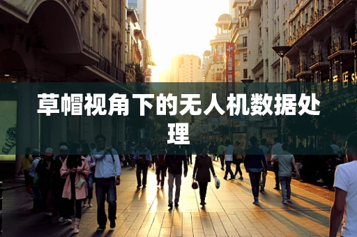 草帽视角下的无人机数据处理