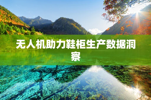 无人机助力鞋柜生产数据洞察