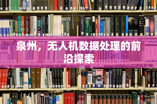 泉州，无人机数据处理的前沿探索