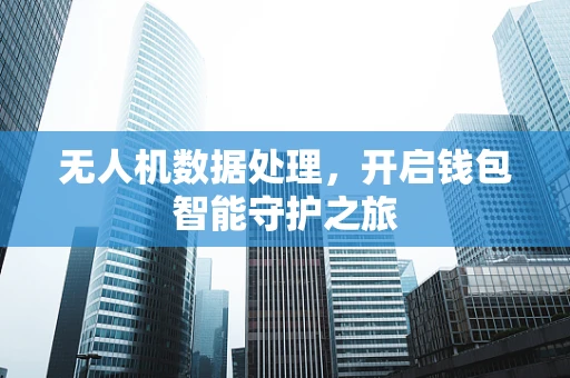 无人机数据处理，开启钱包智能守护之旅