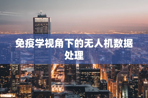 免疫学视角下的无人机数据处理