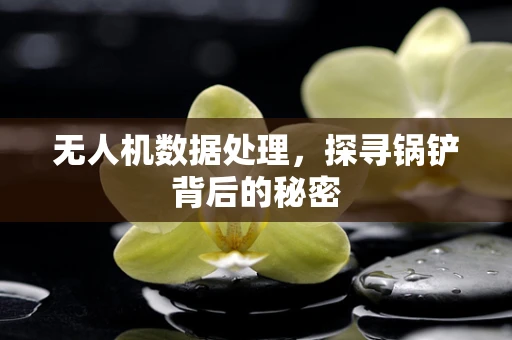 无人机数据处理，探寻锅铲背后的秘密