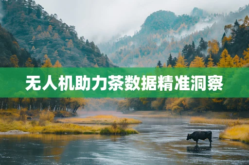 无人机助力茶数据精准洞察
