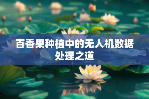 百香果种植中的无人机数据处理之道