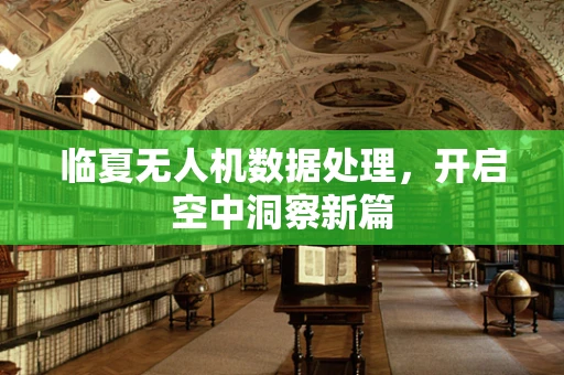 临夏无人机数据处理，开启空中洞察新篇