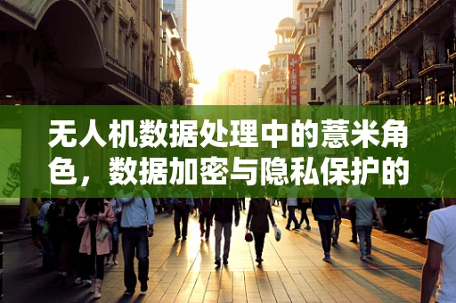 无人机数据处理中的薏米角色，数据加密与隐私保护的微妙平衡？