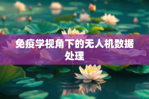 免疫学视角下的无人机数据处理