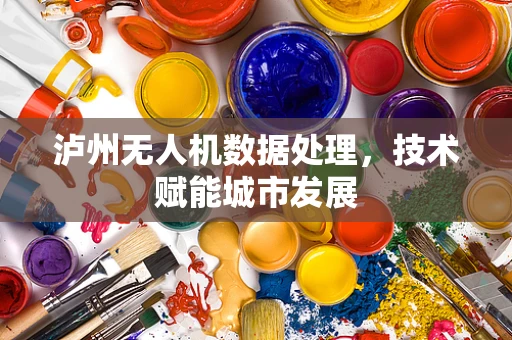 泸州无人机数据处理，技术赋能城市发展
