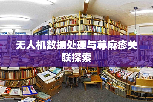 无人机数据处理与荨麻疹关联探索