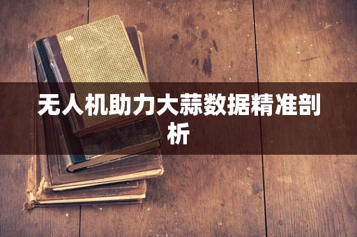 无人机助力大蒜数据精准剖析