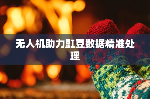 无人机助力豇豆数据精准处理