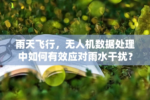 雨天飞行，无人机数据处理中如何有效应对雨水干扰？