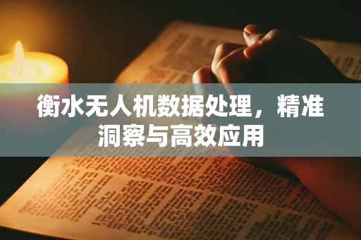 衡水无人机数据处理，精准洞察与高效应用