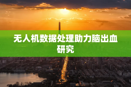 无人机数据处理助力脑出血研究
