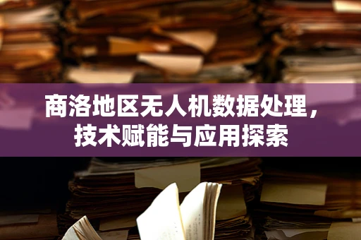 商洛地区无人机数据处理，技术赋能与应用探索