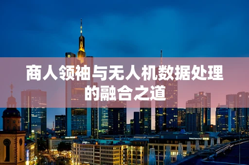 商人领袖与无人机数据处理的融合之道