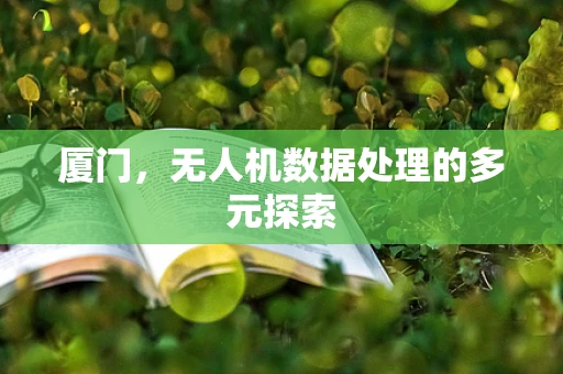 厦门，无人机数据处理的多元探索