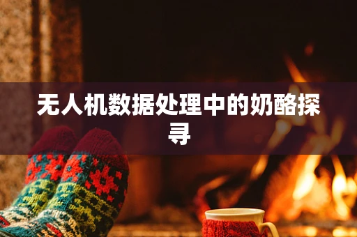 无人机数据处理中的奶酪探寻